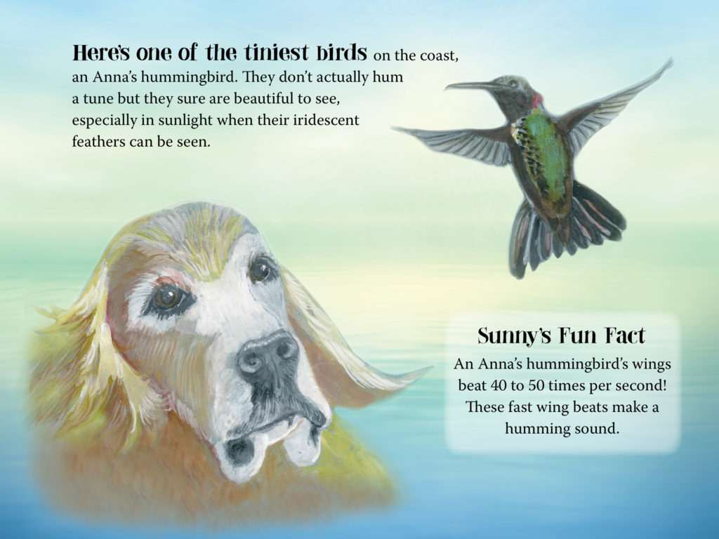 Sample page from Sunny Loves Summer — Anna's hummingbird