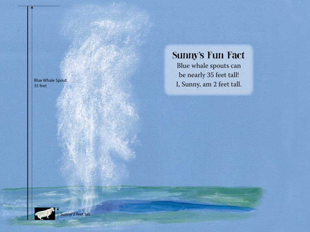 Sample page from Sunny Loves Summer — Blue Whale spout