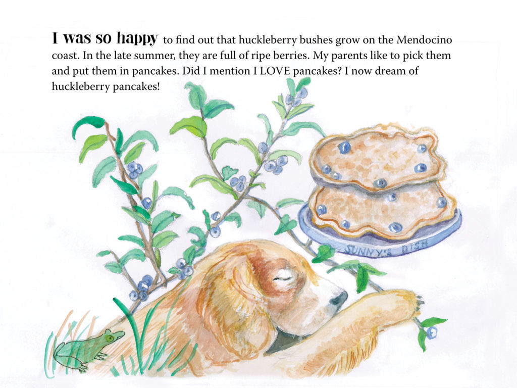 Sample page from Sunny Loves Summer — Sunny dreams of huckleberry pancakes