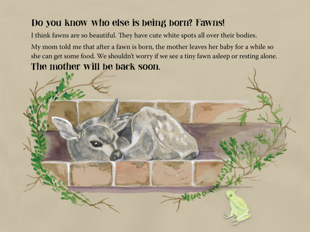 Sample page from Sunny Loves Summer — A fawn on the doorstep